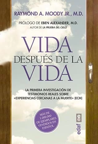 Vida después de la vida