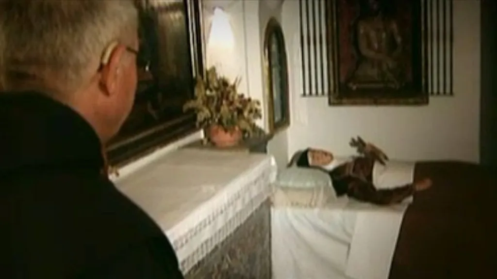 Los éxtasis de Santa Teresa