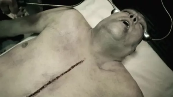 En busca de la inmortalidad