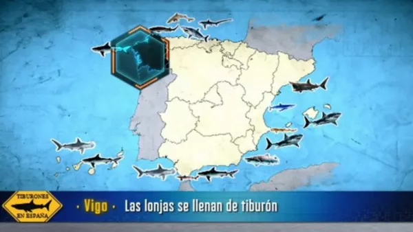 Tiburones en España