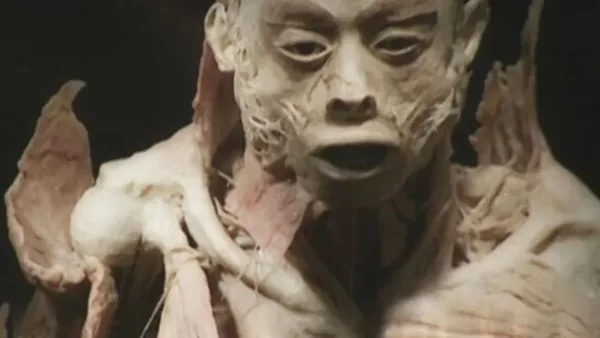 El circo de la muerte