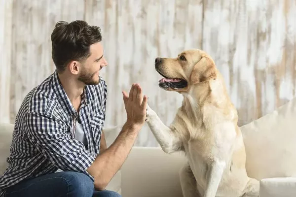 Animales con voces humanas
