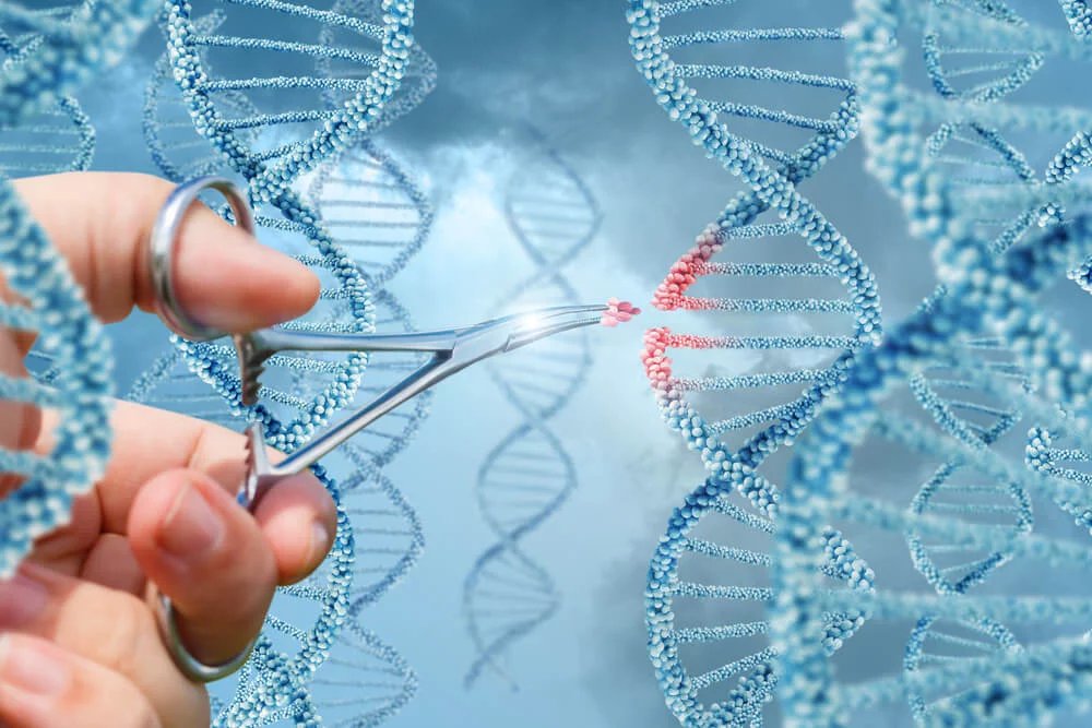 Clonación: ¿un avance o una locura médica?