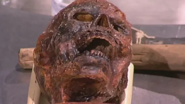 La maldición de Otzi