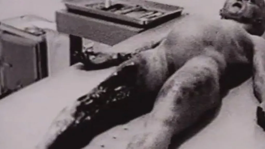 Doble hipótesis: Caso Roswell