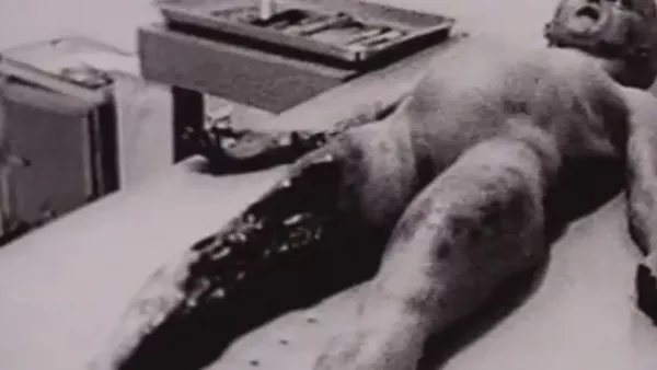 Doble hipótesis: Caso Roswell
