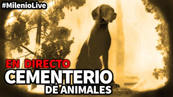 Cementerio de animales