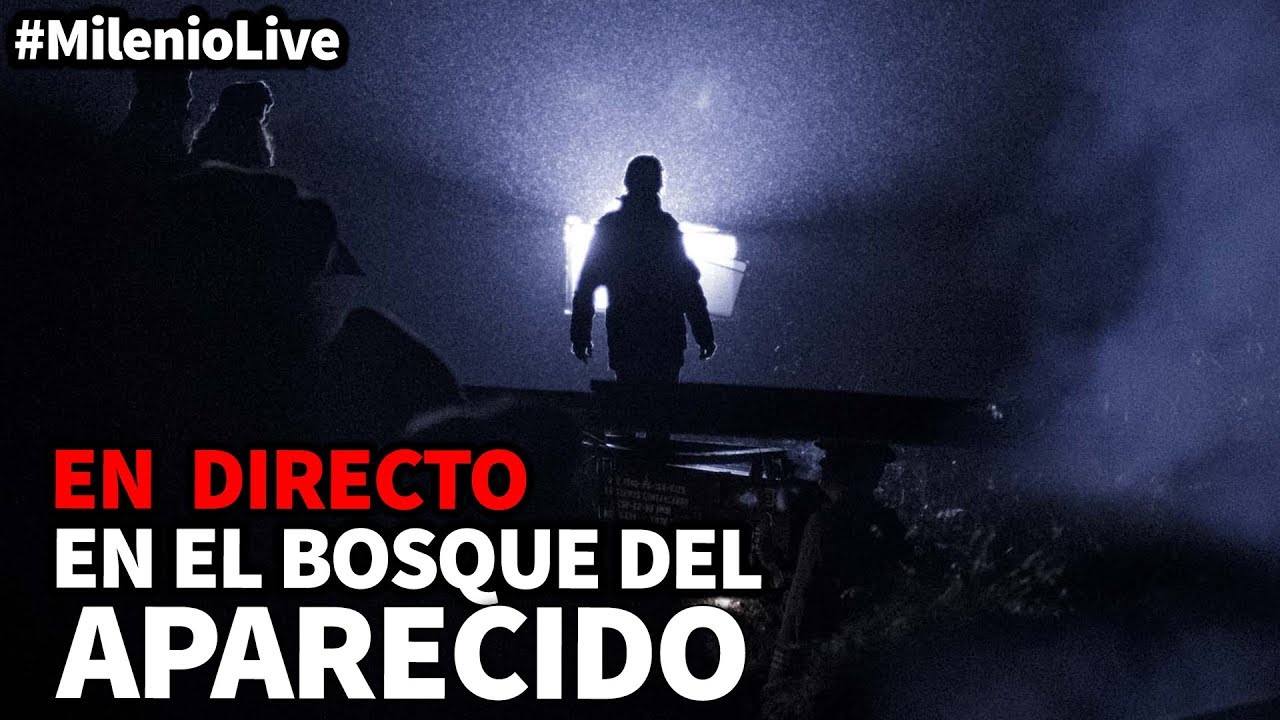 En el bosque del aparecido
