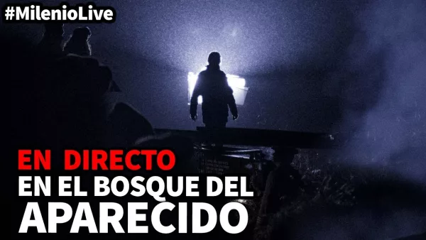 En el bosque del aparecido
